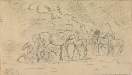 Caballos en un prado