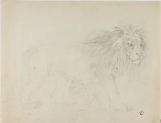 León