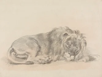 León tumbado