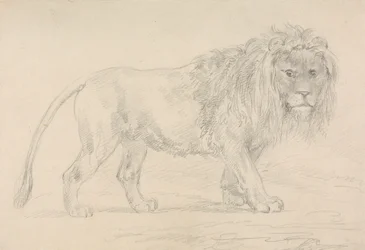 León Andante