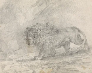 León caminando en un paisaje rocoso
