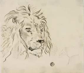 Cabeza de León
