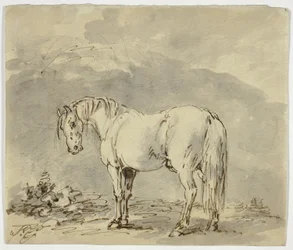 Caballo de Pie con la Cabeza Girada