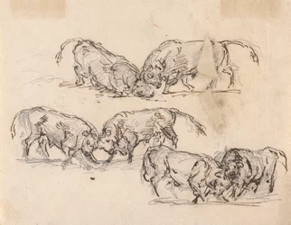 Estudios sobre las corridas de toros