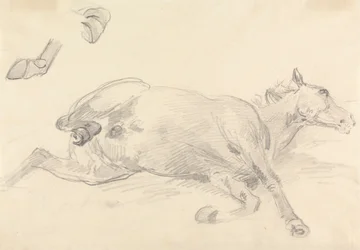Estudio de un caballo tumbado