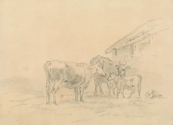 Dos vacas y un ternero
