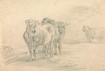 Dos vacas en una colina