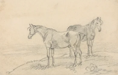 Dos caballos