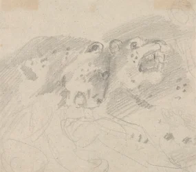 Dos leopardos