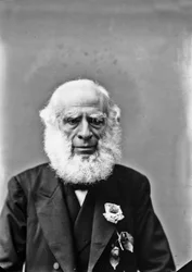 Retrato de un anciano
