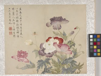 Álbum de flores de 8 hojas, mediados del siglo XVIII (tinta y color sobre papel)