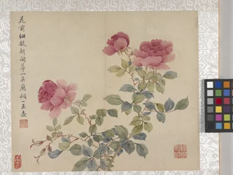 Álbum de flores de 8 hojas, mediados del siglo XVIII (tinta y color sobre papel)