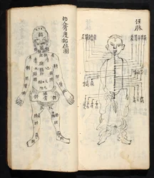 Puntos de acupuntura a lo largo de la línea central del cuerpo, de Jing Guan Qi Zhi, 