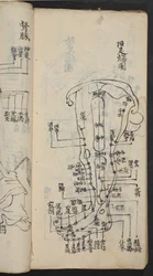 Puntos de acupuntura en la pierna, de Jing Guan Qi Zhi, «Los comienzos y finales de los puntos y canales de acupuntura», publicado en el sur de China, principios del siglo XVIII