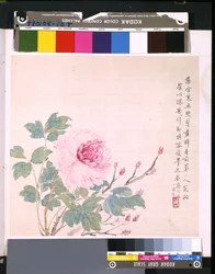 Álbum de flores y pájaros, fecha desconocida (tinta y color sobre seda)