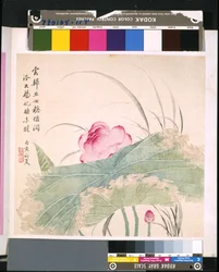 Álbum de flores y pájaros, fecha desconocida (tinta y color sobre seda)