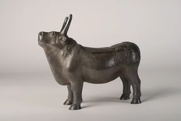 Toro