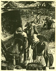 Soldados y civiles cooperativos de Sung Ping-heng, soldados y campesinos trabajando juntos para recuperar el trigo. Grabado en madera, en "Woodcuts of war-time China 1937-1945", Shanghai