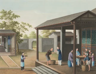 Producción de té, c. 1820 (color de la carrocería y pintura dorada sobre seda extendida sobre papel)