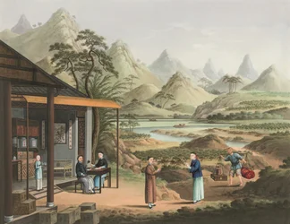 Producción de té, c. 1820 (color de la carrocería y pintura dorada sobre seda extendida sobre papel)