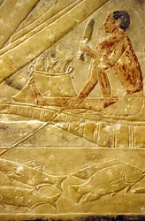 Antiguo Egipto, Mastaba/Tumba de Idout, Saqqara, Pescadores sentados en barcas, escamando pescado (foto)