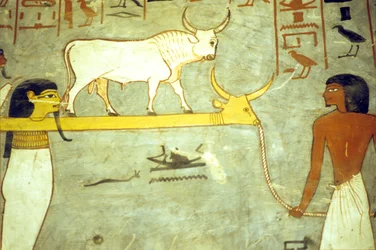 Antiguo Egipto, Pintura, Tumba de Ramsés I, Dioses del inframundo atados a Hathor, remolcando barca solar