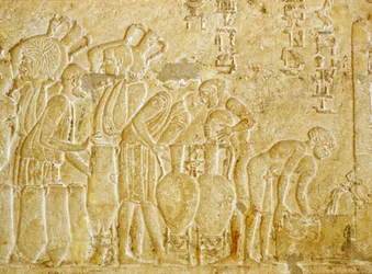 Antiguo Egipto, Escultura mural, Tumba de Petosiris, 300 a.C., Tunael Gebel, Recogida y embotellado del vino (foto)
