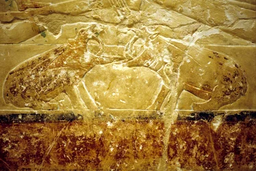Antiguo Egipto, Pintura mural, Mastaba/Tumba de Idout, Saqqara, Dinastía VI, Dos hipopótamos luchando (foto)