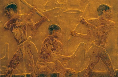 Antiguo Egipto, Escultura mural/pintura, Mastaba/Tumba de Ti, Saqqara, V Dinastía, Construcción naval (foto)