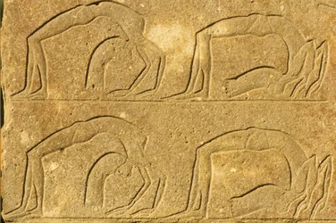 Antiguo Egipto, Pintura mural/talla, Acróbatas femeninas actuando, Templo de Karnak, Luxor (foto)