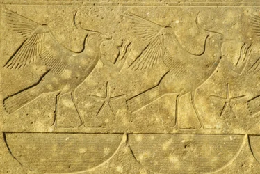 Antiguo Egipto, Pintura mural/talla, Avefrías, representando las diversas tribus de Egipto, Templo de Karnak, Luxor (foto)
