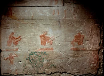 Relieve de piedra caliza que representa escribas de la Capilla de Mastaba en Akhethetep, alrededor de 2300 a.C. Dinastía V. Antiguo Imperio. De Saqqara (Sakkara). París, Museo del Louvre