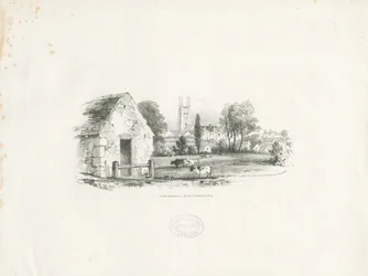 Tamworth: litografía