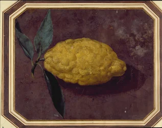 Un limón