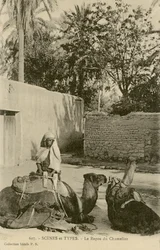 Le Repos du Chamelier, c.1890-1914