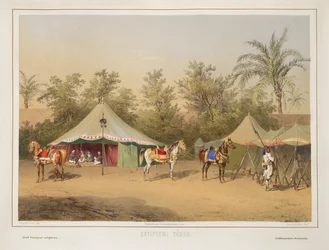 Campamento en Egipto