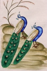 Pintura miniatura sobre papel: pavo real