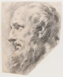 Cabeza de perfil (Carboncillo sobre papel)