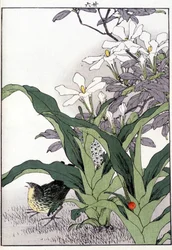 Pájaro en las flores - Estampa japonesa