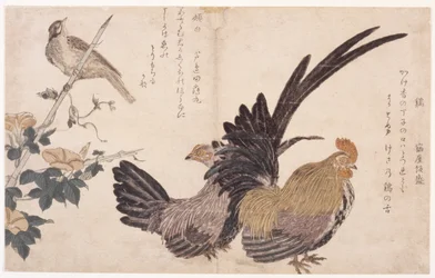 Gallo, gallina y pájaro