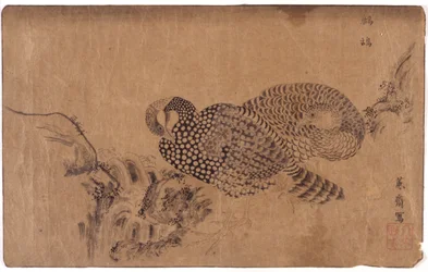 Dos pájaros