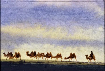 Manada de camellos, Mongolia - Acuarela mongola