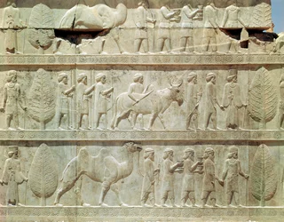 Detalle del friso en relieve en la escalera este del Apadana (sala de audiencias) que representa delegados de las tierras sujetas al imperio llevando regalos lujosos para una ceremonia, período Aqueménida, c.515 a.C.