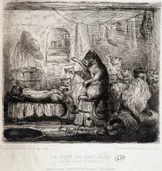 La muerte del gato Murr (de los cuentos de Hoffmann) - Dibujo, Portugal