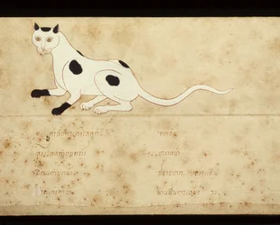 Hoja de un manuscrito sobre gatos siameses, principios del siglo XX (acuarela sobre papel)