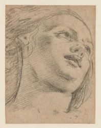 Estudio de cabeza femenina mirando hacia arriba a la derecha (recto); Estudio de dos figuras sosteniendo un objeto (verso)