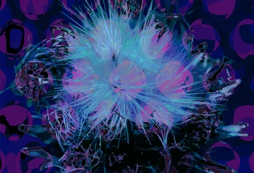 Alcachofa