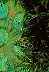 Alcachofa_abst_vert2