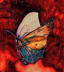 Mariposa, 2021