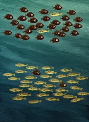 Fish, 2010 (scratchboard, coloreado digitalmente)